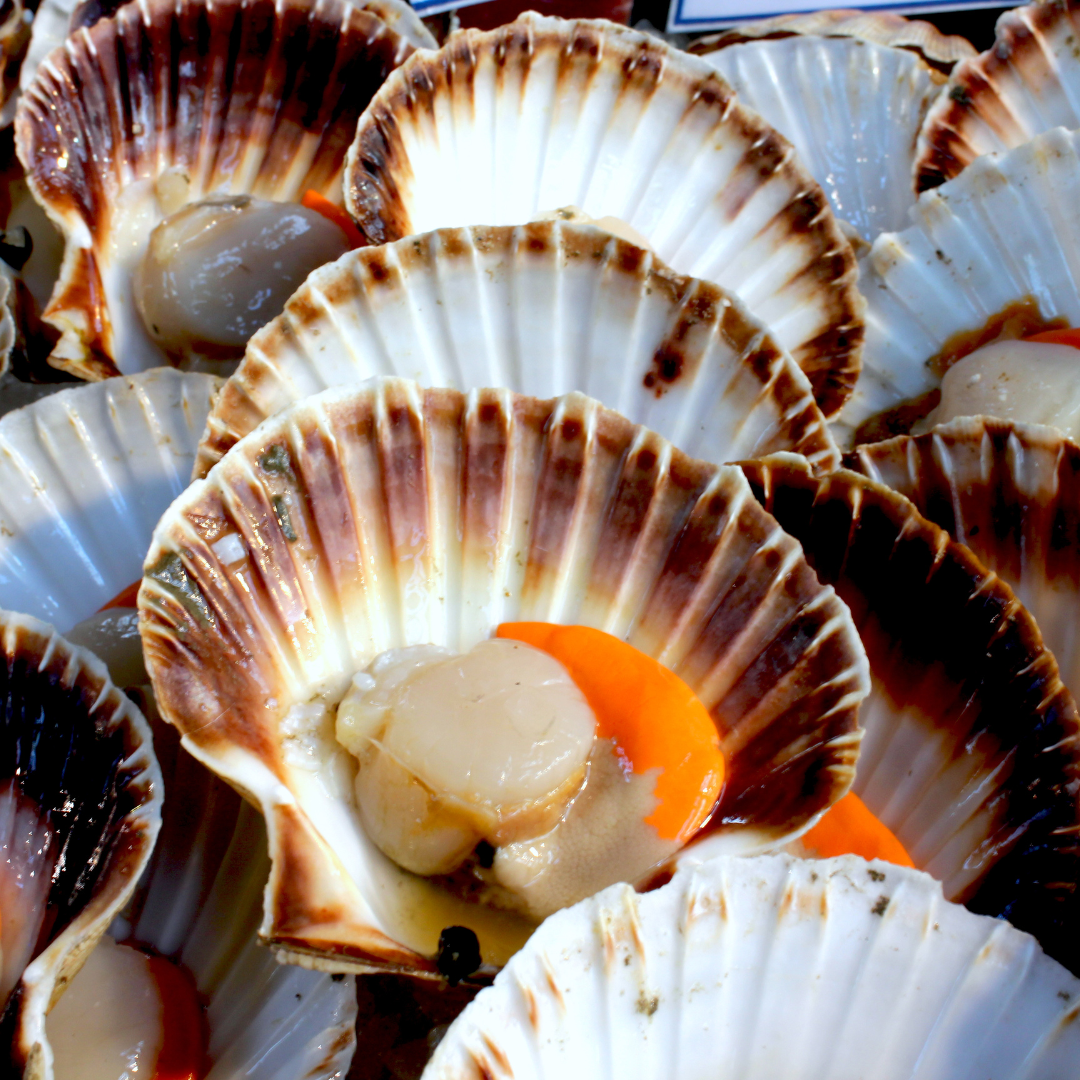 Seared Scallops with Lemon Butter Sauce